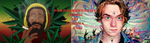 СК Коряжма