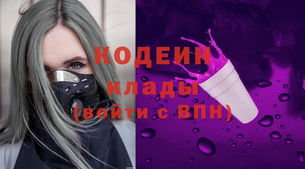 прущие крисы Корсаков