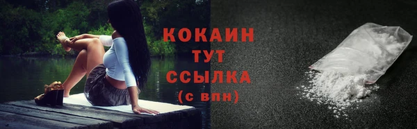 СК Коряжма