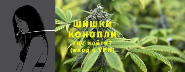 ALPHA PVP Костерёво