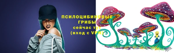 прущие крисы Корсаков
