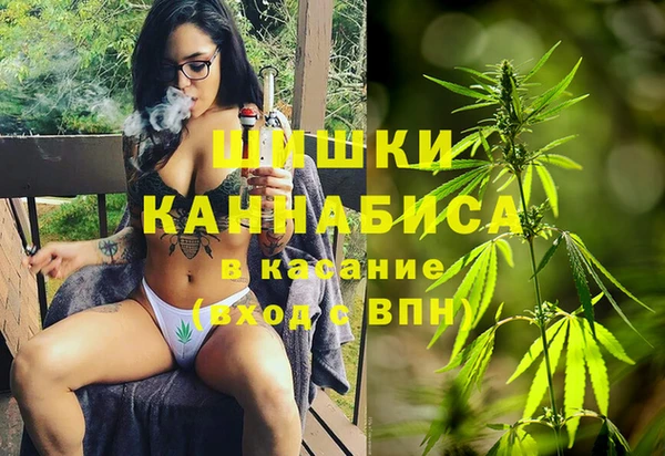 СК Коряжма