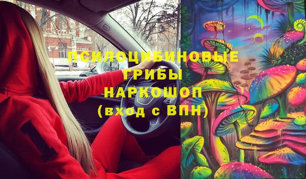 прущие крисы Корсаков