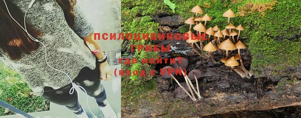 прущие крисы Корсаков